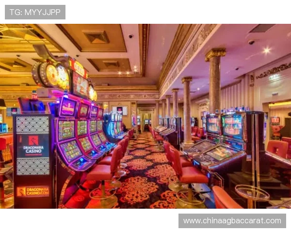 利来国际ag旗舰厅游戏种类丰富多样涵盖热门老虎机与精品扑克提供多样选择满足不同玩家需求